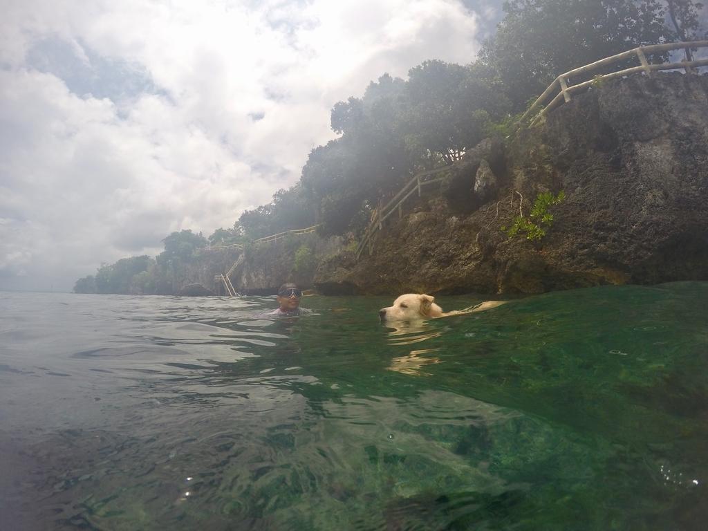Alexis Cliff Dive Resort 邦劳 外观 照片