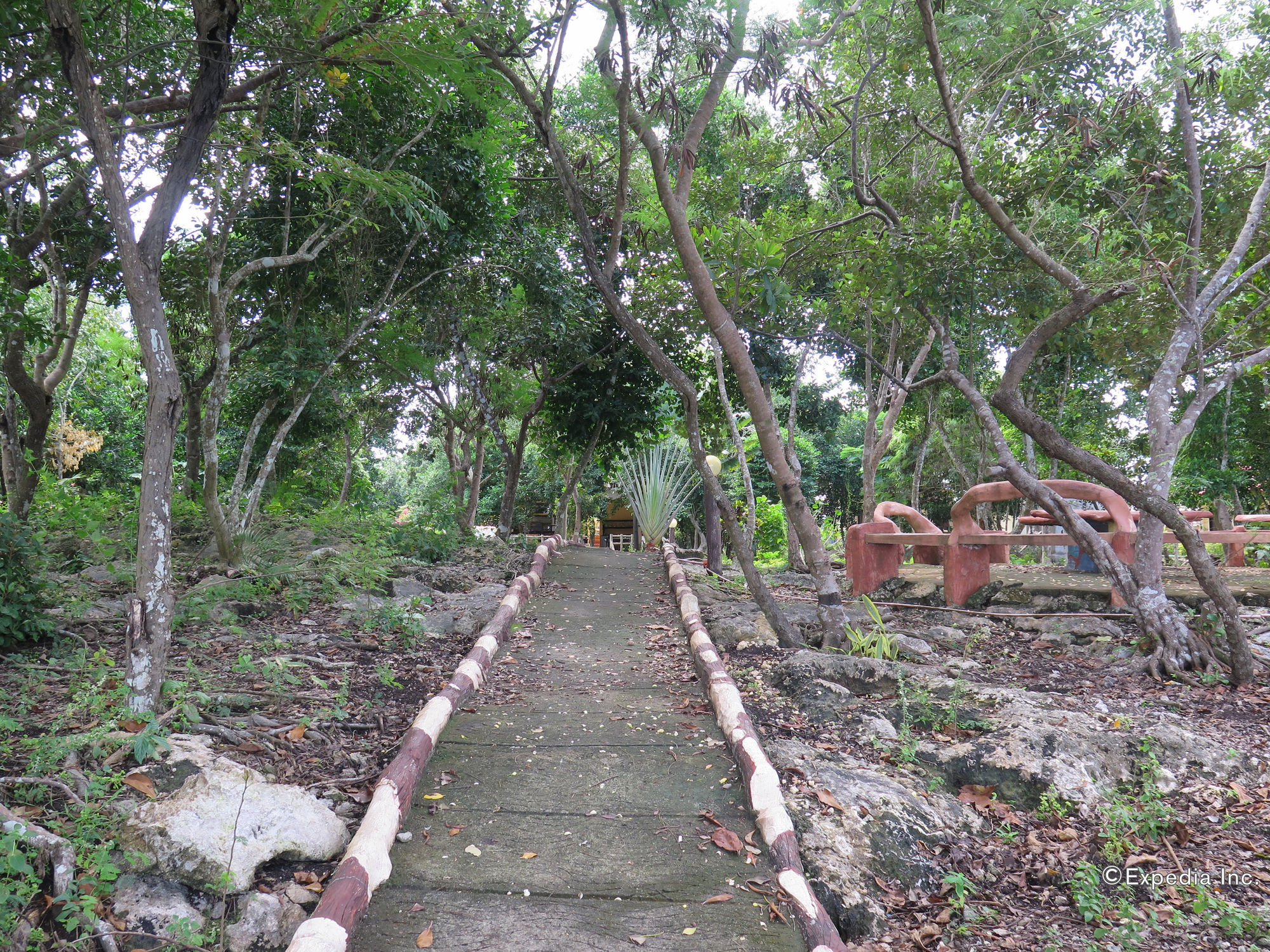 Alexis Cliff Dive Resort 邦劳 外观 照片